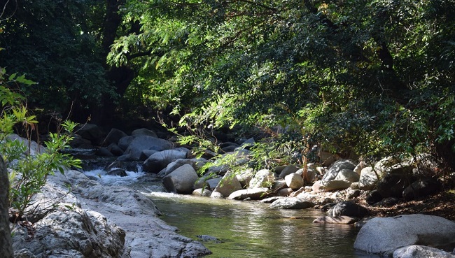 El Porh del río Manzanares también hace parte del cumplimento del Plan de Acción Institucional 2020-2023 de Corpamag.