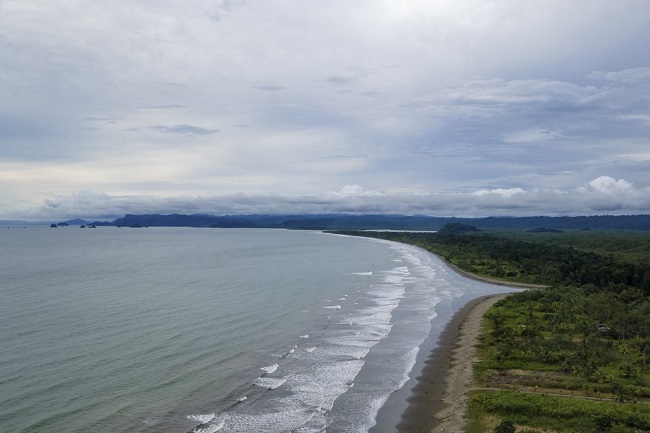 La Ley de Acción Climática permite el cumplimiento de los compromisos que a mediano y largo plazo tiene Colombia en materia ambiental.