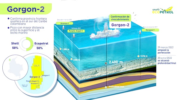Ecopetrol y Shell son socios en los bloques del Caribe Sur (Col-5, Fuerte Sur y Purple Angel) con 50% de participación cada uno.