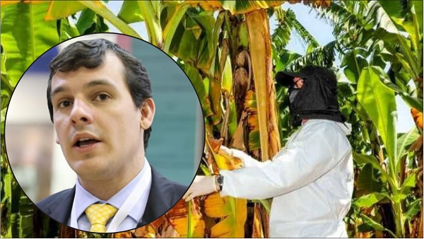 El proyecto fue radicado en agosto del año pasado por el representante a la Cámara por el departamento del Magdalena, Hernando Guida Ponce y hoy cursa en el Senado.