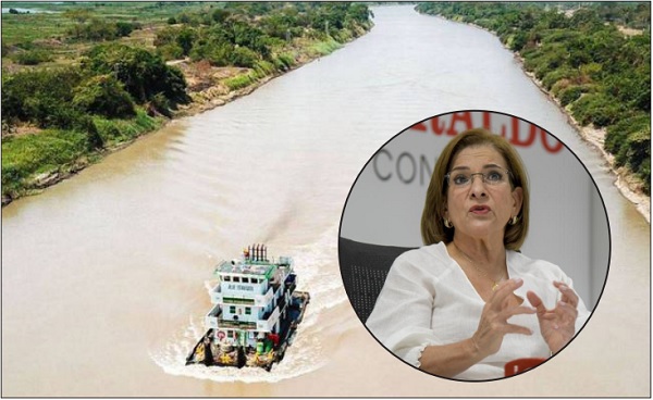 La acción de tutela fue instaurada ante el Juez Sexto Administrativo de Cartagena por el Consejo de las Comunidades Negras del corregimiento Los Olivos de Hato Viejo, Bolívar.