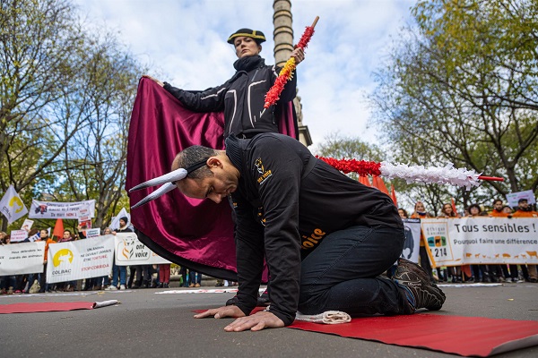 Activistas antitaurinos participan en una manifestación en París, Francia) ayer,, en el marco del proyecto de ley, redactado por el Partido Verde galo, para prohibir las corridas de toros y que se debatirá en el Parlamento Nacional el próximo 24 de noviembre. (Foto EFE/ Christophe Petit Tesson)