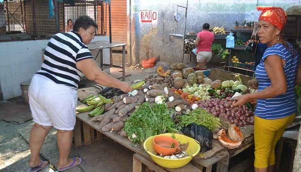 Aderezos fabricados por una decena de personas en una planta donde también cocinan el sueño de exportar.