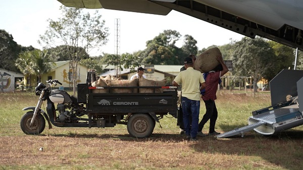 Pequeños productores de Guerima, Vichada, sustituyeron cultivos ilegales y ahora siembran cacao reconocido por su alta calidad y aroma.  