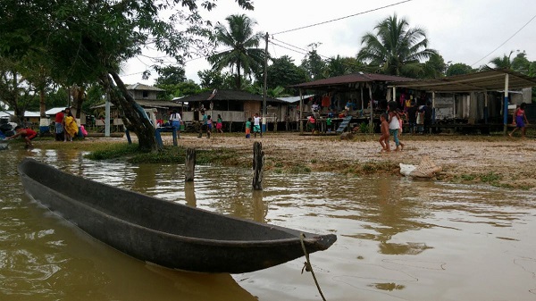 El “paro armado” del ELN mantiene confinadas a más de 9.800 personas de cuatro municipios del departamento del Chocó. 