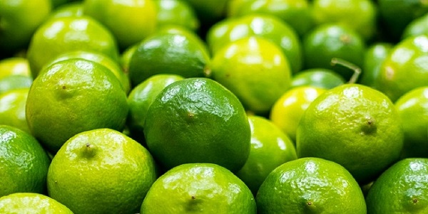 El Lima Tahití, es uno de los productos con mayor demanda de exportación. 