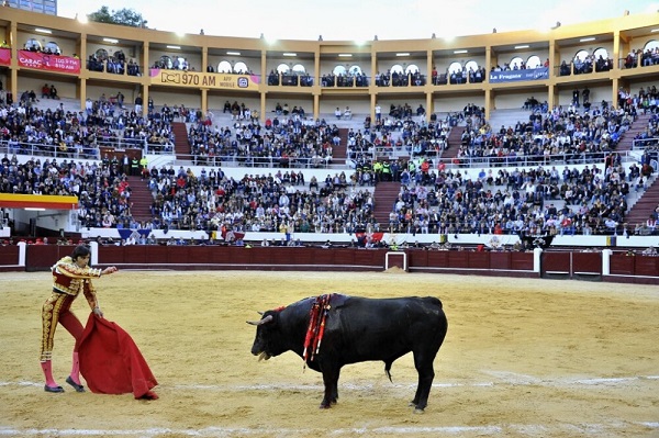 Los toros y la tauromaquia han sido un tema polémico de la agenda política y legislativa del país en los últimos años.