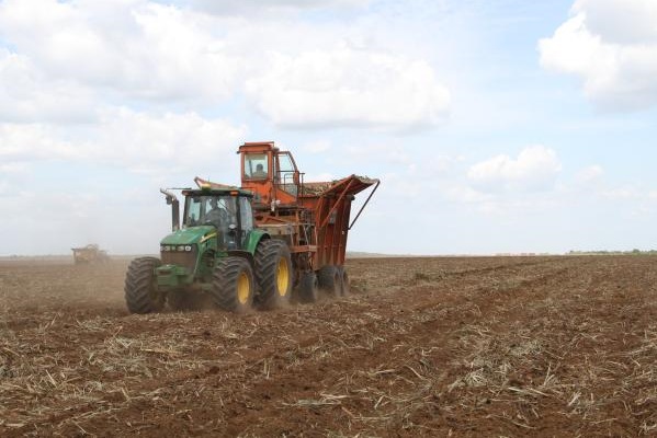 Los nuevos estándares de la Unión Europea hacen parte de la estrategia ‘De la granja a la mesa’ con la que se busca la puesta en marcha de un sistema alimentario.
