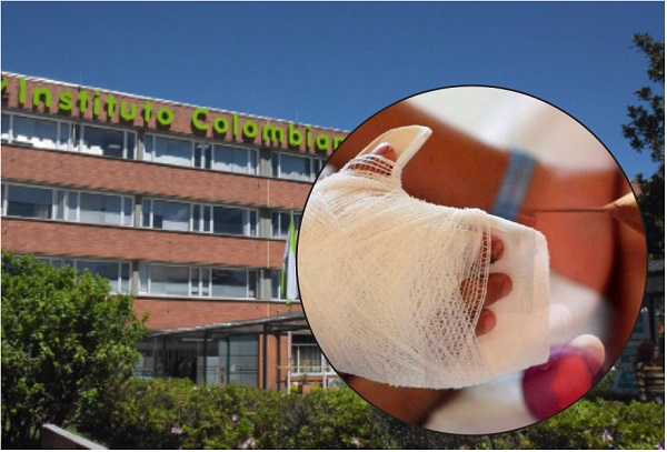 Las 18 denuncias instauradas por el Icbf se han realizado en siete departamentos del país.