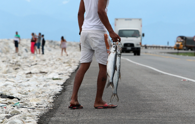  Fotografía de archivo fechada el 6 de octubre de 2017 que muestra pescadores en la carretera que comunica a Barranquilla con Santa Marta, en el Parque Isla de Salamanca (Colombia). 