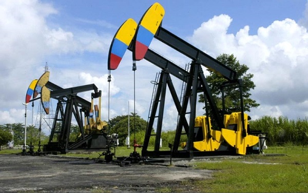 Es innegable que hoy el petróleo constituye el motor de la economía colombiana, por ser el principal generador de renta externa por encima incluso del café.