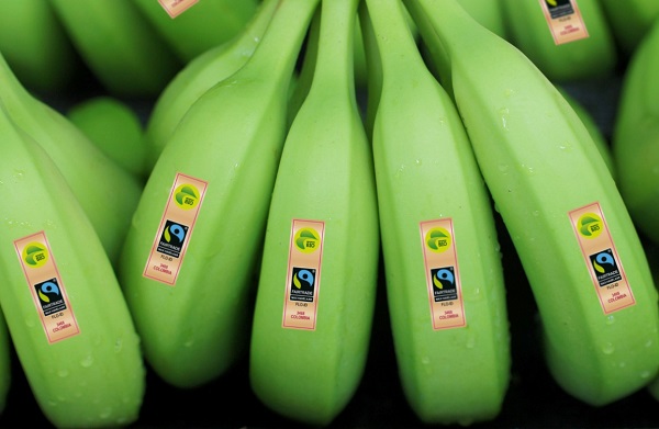 Este tipo de certificaciones es otorgado por Flocert, el organismo mundial de certificación para Fairtrade y audita tanto las políticas como los procedimientos de los departamentos corporativos directamente encargados de las relaciones con los trabajadores y la Fundación Trabajadores de las Bananeras – Flotraban.  