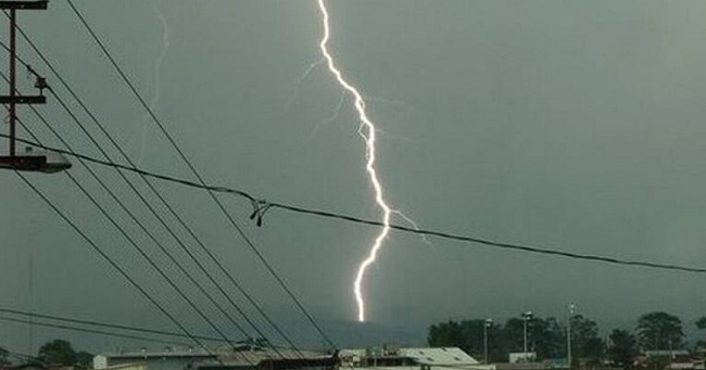 Foto referencia