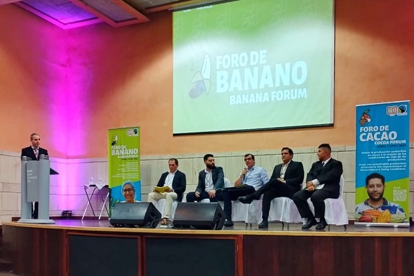 Teniendo estos factores en cuenta podemos decir que la continuidad del sector bananero en Colombia y la seguridad alimentaria se ven amenazados por los altos costos.