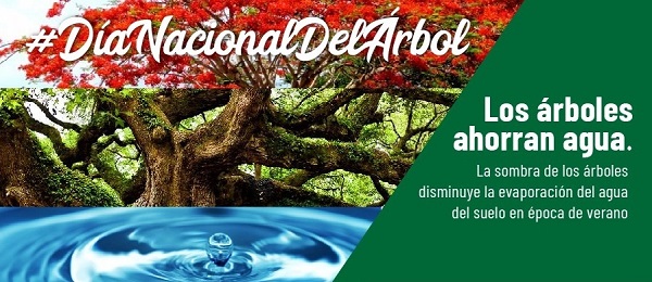 Históricamente, la siembra de árboles se encuentra muy ligada a la fundación de nuestras ciudades desde tiempos coloniales.