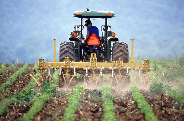 Para la FAO, aplicaciones de la edición genética como la inserción de rasgos para la protección contra plagas o tolerancia a la sequía tienen el potencial de aumentar la productividad.