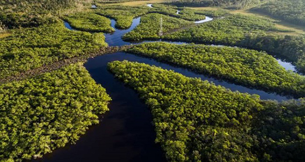 La Amazonía atesora el 86 % del agua dulce que existe en el planeta y es emisora de casi el 10 % de los gases contaminantes.