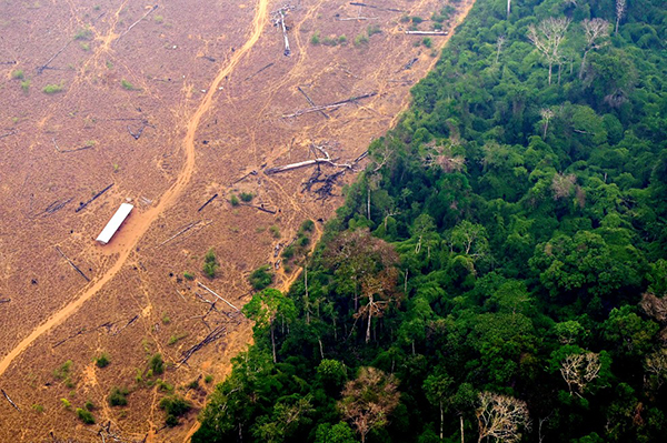 El reporte reveló que durante el primer trimestre de 2022 se perdieron 9.260 hectáreas de bosques en Parques Naturales Nacionales de Colombia.