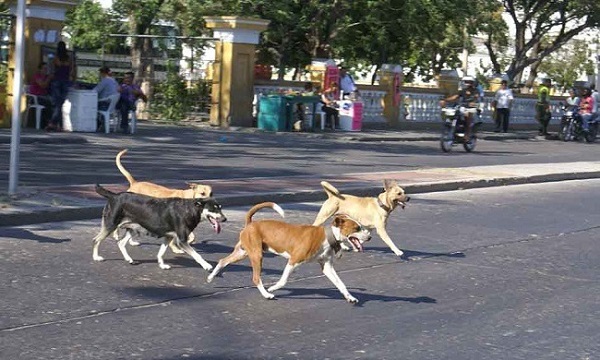 FOTO: ARCHIVO