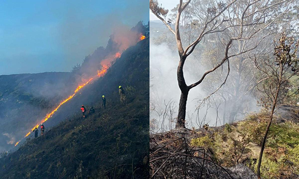En 2023, el reporte ha sido de 439 incendios y quemas de cobertura vegetal en Antioquia.