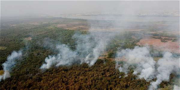 Las investigaciones sobre las causas del incendio están en curso, y se espera que se aclaren las circunstancias que llevaron a este desastre ambiental.