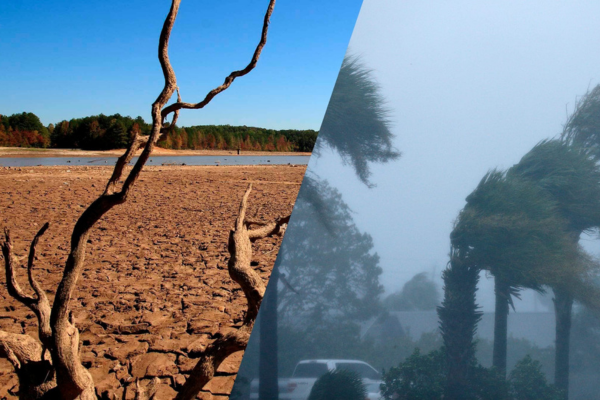El fenómeno inverso de La Niña, ligado a un descenso de las temperaturas, predominó durante los pasados tres años, una duración muy poco habitual.