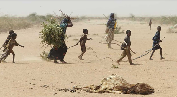 La mayoría de los emigrantes se han asentado en Egipto, Chad, República Centroafricana, Sudán del Sur y Etiopía.