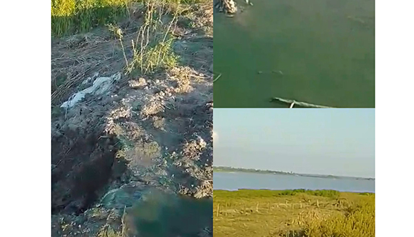 La comunidad espera que sus llamados de auxilio no caigan en oídos sordos y que se tomen acciones concretas para resolver esta prolongada crisis ambiental.