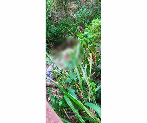 El cadáver de Einer Camargo García fue hallado la mañana de este domingo, según el reporte de las autoridades.