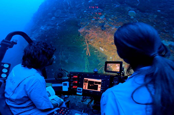  National Geographic espera que la audiencia se sumerja en la maravilla de los océanos colombianos y se inspire para contribuir a la preservación de estos ecosistemas.