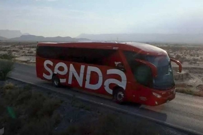 Foto referencia