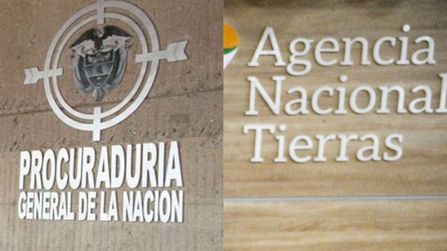 Foto referencia