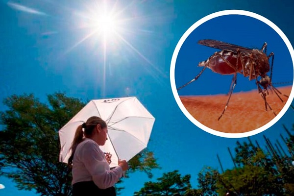 Para ilustrar la gravedad de la situación, el Instituto señaló que durante las primeras tres semanas de 2023, la incidencia de dengue era de 15.9 casos por cada 100,000 habitantes.