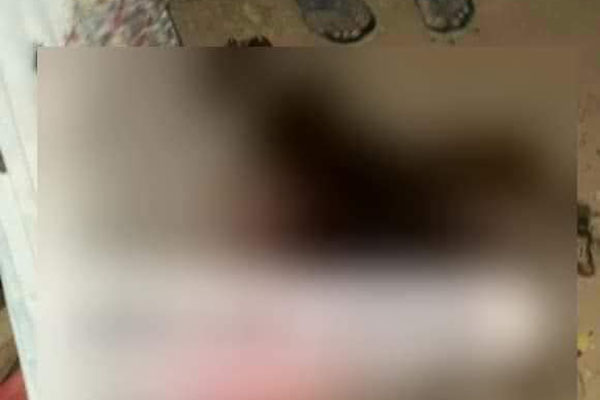 Testigos aseguran que el presunto asesino, en el momento del trágico suceso, se encontraba visiblemente afectado por los efectos de sustancias alucinógenas.