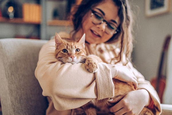 Si eres amante de los gatos este trabajo es para ti, empresa de alimentos para mascotas  pagará 37 millones por abrazar gatos todo el día. 