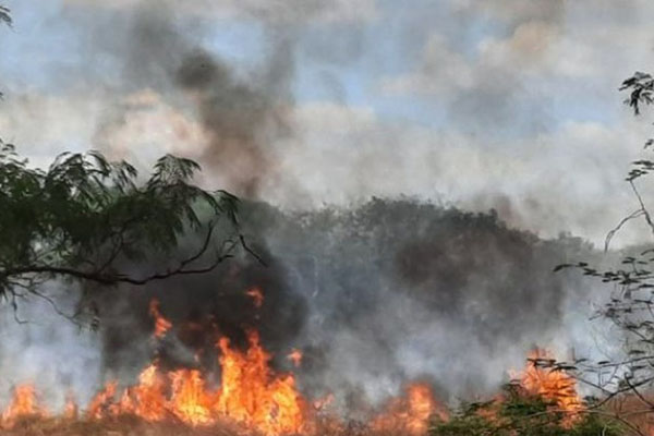 Entre enero y marzo de 2024 la mayoría de estos incendios fueron forestales, de maleza y agrícolas.