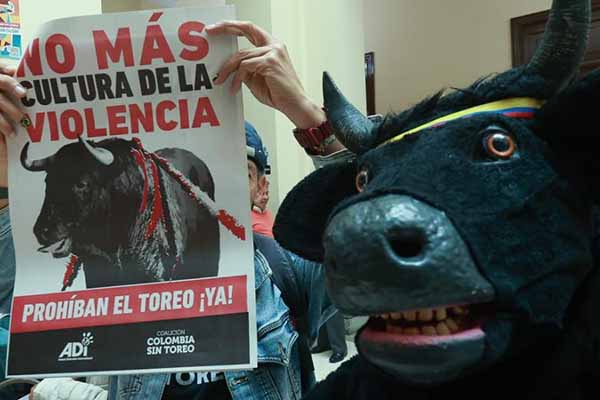  Con la Frase de “No más Olé”, colombianos a favor de la no corrida de toros, celebran esta Ley que protege a estos animales del campo.