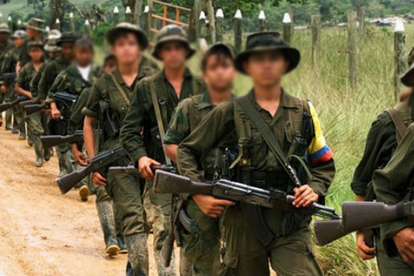 Nariño es uno de los principales departamentos con cultivos de coca y amapola en Colombia. La economía ilegal asociada a estos cultivos atrae a grupos armados que buscan controlar el territorio y las rutas de narcotráfico.