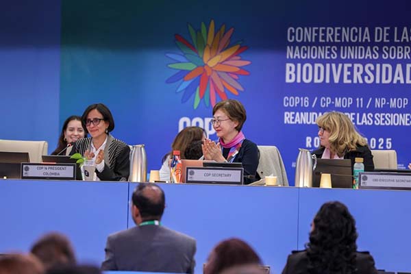 Tras 30 años la biodiversidad tendrá un fondo propio: clave decisión en la COP16
