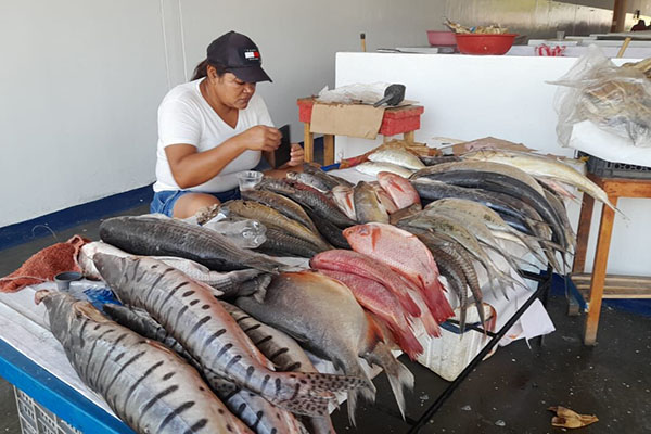 Imagen de referencia sobre el consumo de pescado en la época de la Semana Mayor en Colombia. Foto archivo