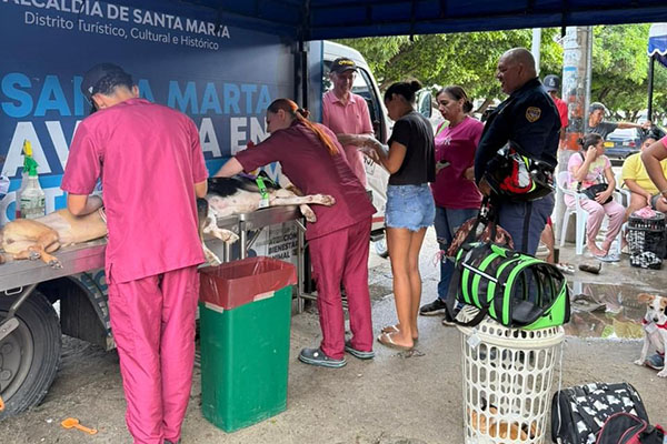 Las jornadas son gratuitas y están dirigidas a perros y gatos mayores de tres meses.