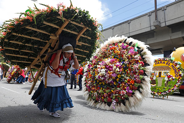 Una mujer carga una silleta durante la edición 67 del Desfile de Silleteros de la Feria de las Flores en Medellín. EFE Una mujer carga una silleta durante la edición 67 del Desfile de Silleteros de la Feria de las Flores en Medellín. EFE