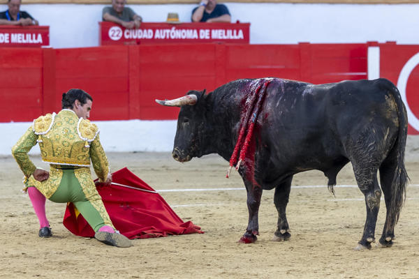 Foto de referencia, EFE/ Giner. 