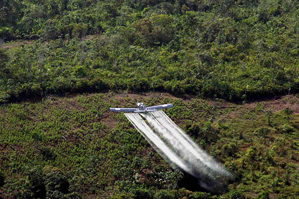 Avioneta fumigando cultivos de coca con glifosato en Colombia. Foto EFE/Efraín Patiño