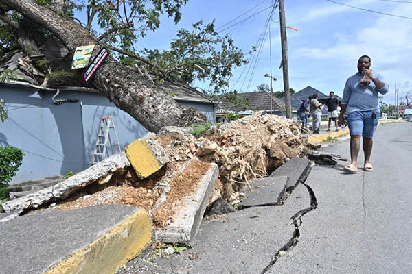 Una persona camina frente a un árbol caído debido al paso del huracán Melissa, en la Parroquia de Saint Ann en el condado de Middlesex (Jamaica). EFE/ Rudolph Brown