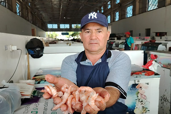 Julio César Quesada, comerciante de la Plaza de Pescados y Mariscos, muestra el camarón fresco, uno de los productos más buscados por los samarios en esta temporada decembrina. Foto Derechos Reservados ELINFORMADOR Julio César Quesada, comerciante de la Plaza de Pescados y Mariscos, muestra el camarón fresco, uno de los productos más buscados por los samarios en esta temporada decembrina. Foto Derechos Reservados ELINFORMADOR