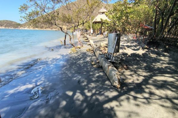 Así luce hoy la playa de Cabo Tortuga. El mar avanzó hasta cubrir por completo la arena, afectando a la zona hotelera concesionada. Se insiste en la pronta intervención por parte de las autoridades, local y nacional. Foto derechos reservados EL INFORMADOR