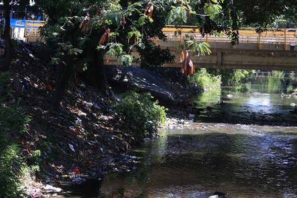 La falta de control institucional y de cultura ciudadana sigue permitiendo que el río Manzanares sea usado como botadero, poniendo en riesgo un ecosistema vital para la ciudad. Foto derechos reservados EL INFORMADOR.