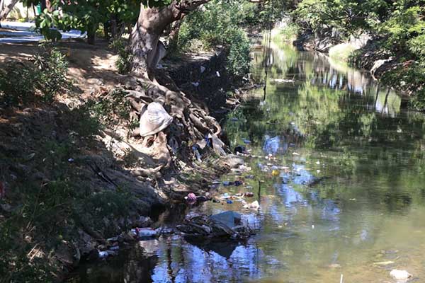 El color verdoso del agua y la presencia de llantas, muebles y residuos flotantes reflejan el alto nivel de contaminación del río Manzanares, cuya recuperación sigue sin acciones visibles. Foto derechos reservados EL INFORMADOR.