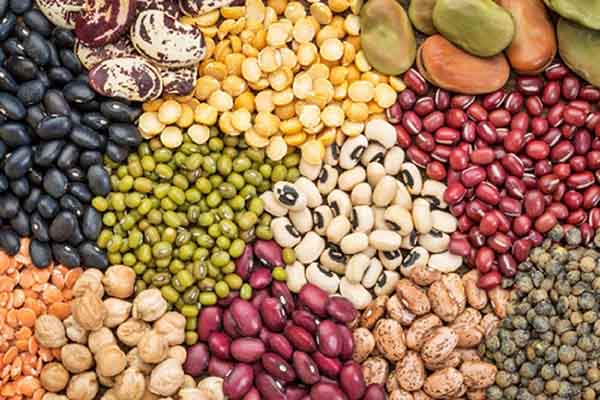Diferentes tipos de legumbres, entre frijoles, lentejas, garbanzos, etc. Foto archivo EL INFORMADOR 